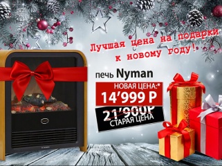 Новогоднее предложение на печь Nyman