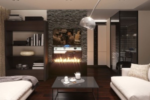 Дизайн гостиной с камином и телевизором Фото 12.