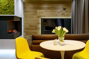 Дизайн квартиры с камином в комнате Фото 28.